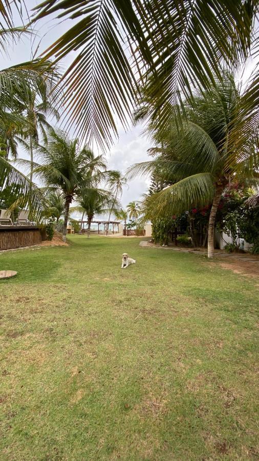 Villa Maui Icaraizinho エクステリア 写真